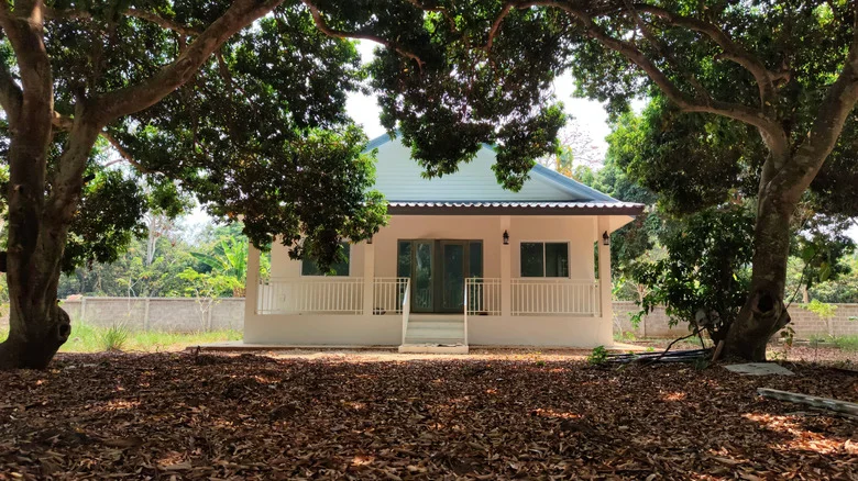 How To Brighten Up Your Shady Yard Without Removing Trees