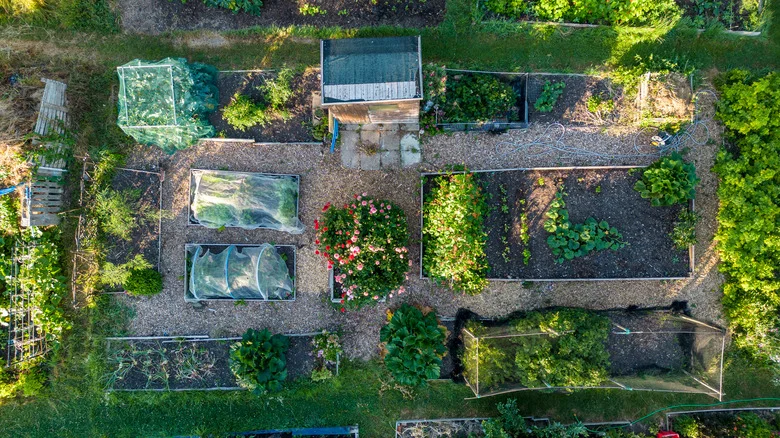 How To Correctly Map Out And Space Your Garden Veggie Plants