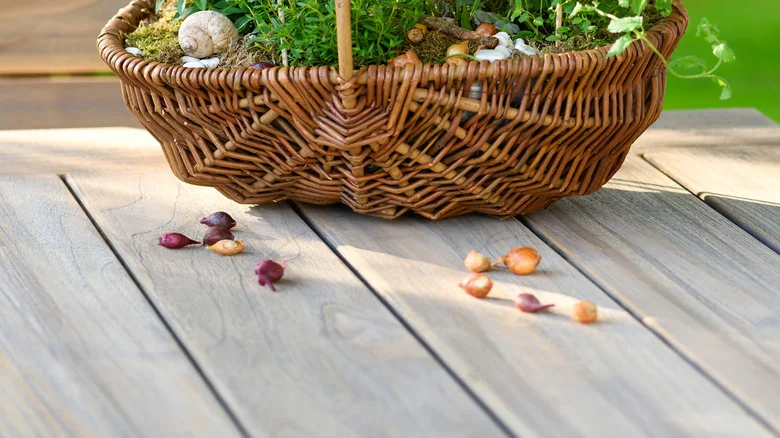 How To Create A Garden Full Of Essential Kitchen Herbs In One Basket