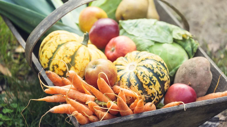 How To Cure Vegetables For Storage
