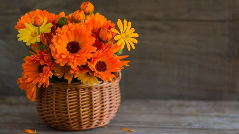 How To Decorate Your Home With Marigolds