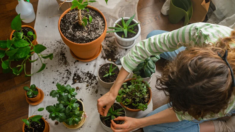 How To DIY A Mess-Free Garden Potting Station With IKEA Faves