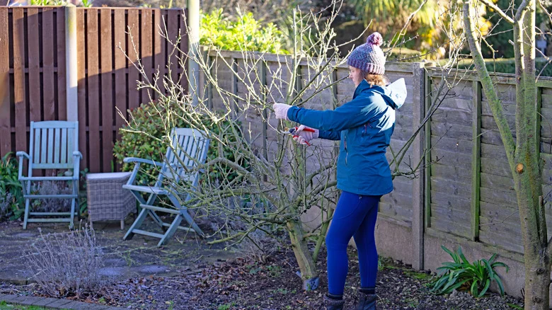 How To DIY A No-Cost, Spiral Plant Trellis From Yard Scraps