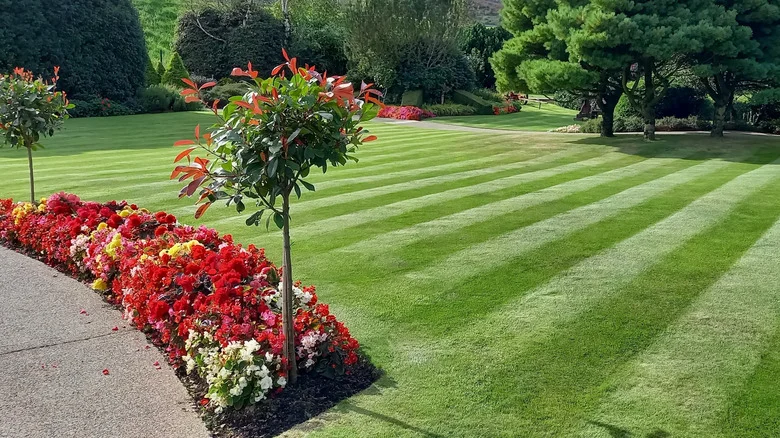 How To DIY Your Own Lawn Striper: A Step-By-Step Guide