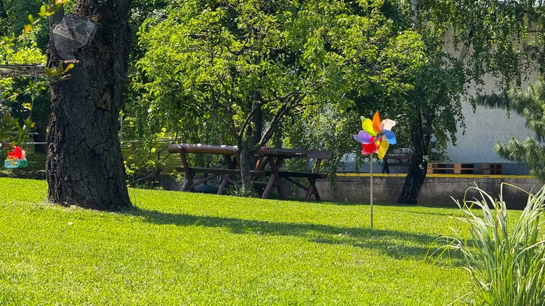 How To DIY Your Own Yard Pinwheels To Scare Off Pests