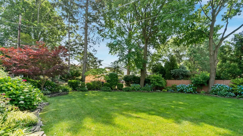 How To Give Trees A Deep Watering When The Hose Doesn’t Reach