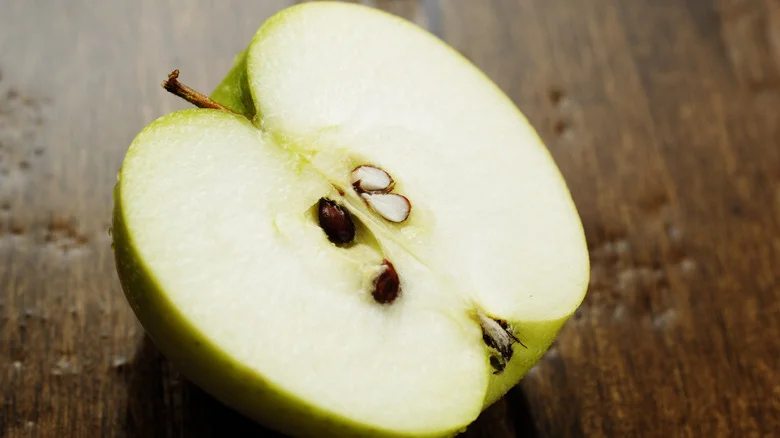 How To Grow Apple Trees From Seed (& What Container To Use) Explained By An Expert Orchardist
