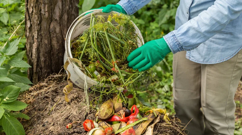 How To Keep Your Cool Compost Pile Free Of Weeds