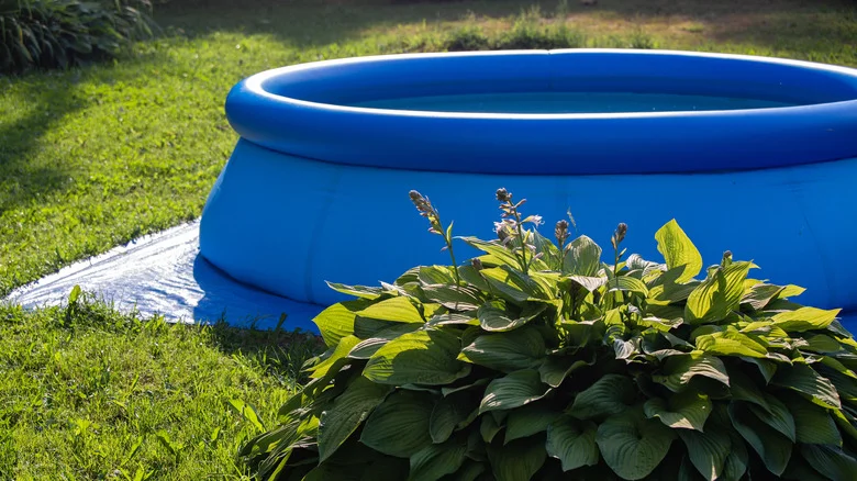 How To Prep Your Lawn For Pool Season So It Doesn’t Die