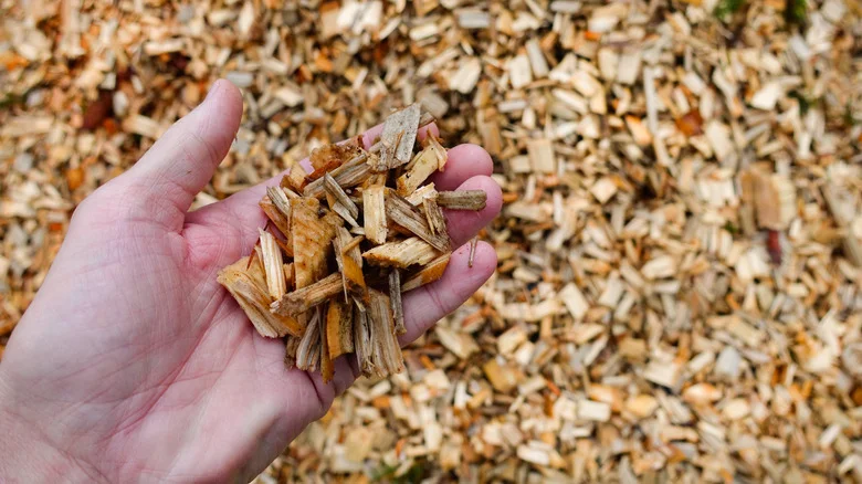 How To Repurpose Wood Chips That Have Started To Get Moldy