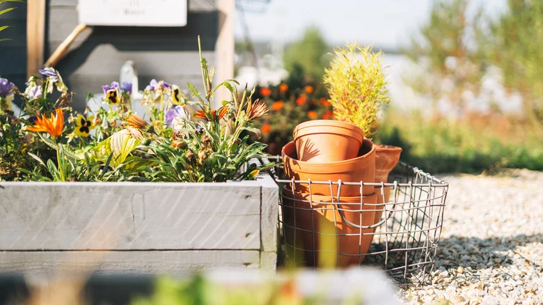 How To Reuse Wooden Pallets For The Perfect Garden Spacing Every Time