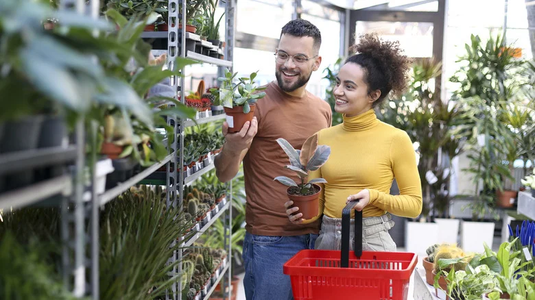 How To Score The Healthiest Plants At Home Depot (Look For Just Two Things)