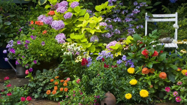 How To Smother Weeds Effectively For A Beautiful Flower Garden
