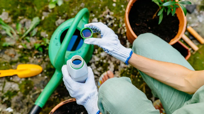 How To Sterilize Soil With Hydrogen Peroxide (And Why You Should)