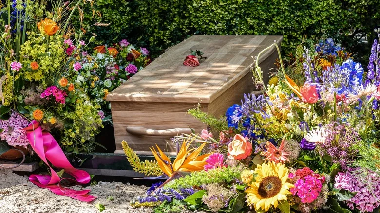 How To Take Care Of Funeral Plants: Helpful Tips From Our Master Gardener