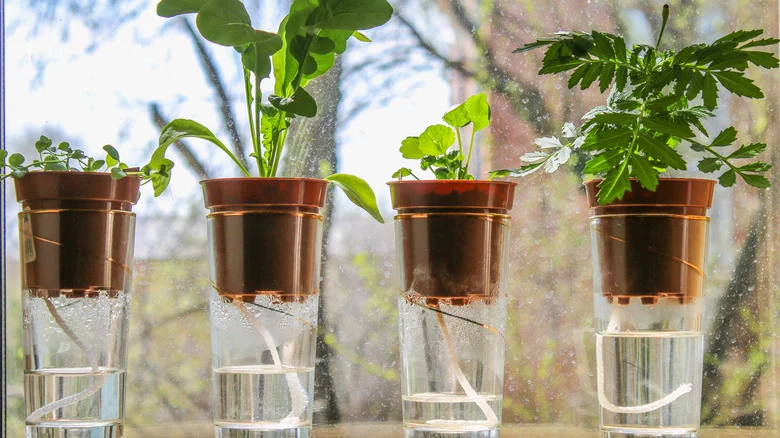 How To Winterize A Self-Watering Planter If You Can’t Bring It Indoors