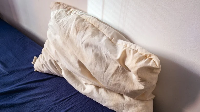How You Should Repurpose Dirty Old Pillows In The Garden Instead Of Tossing Them