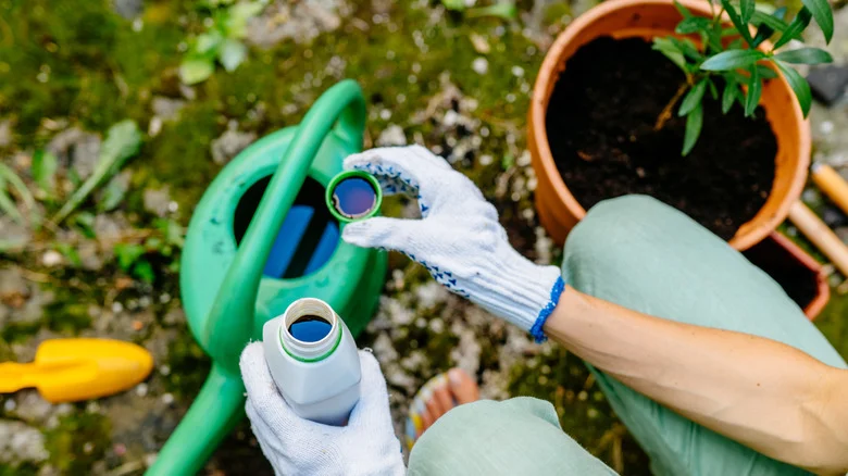 Hydrogen Peroxide Is The Trick To Minimizing Drought Stress In Plants
