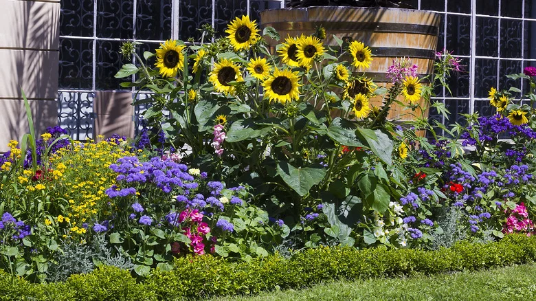Ideas For A Stunning Flower Garden