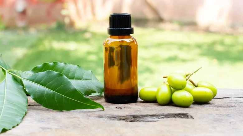 If You Hate The Smell Of Neem Oil, Try This Powerful Alternative Instead