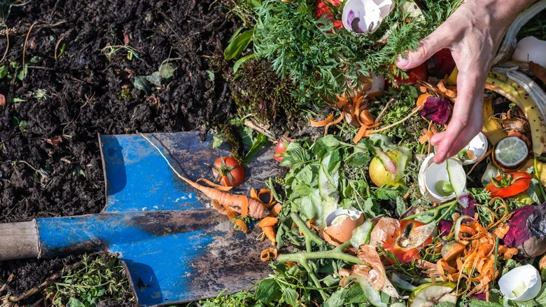 If Your Compost Heap Is Starting To Smell A Little Ripe, Here’s What You Need