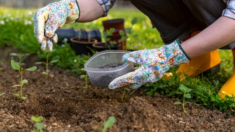 If Your Garden Soil Is One Of These Colors, You Might Have A Problem On Your Hands