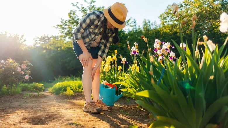 If Your Yard Is Filled With Mosquitoes, These 10 Plants Might Be To Blame