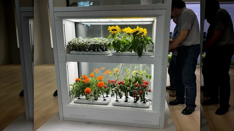 IFA 2024: Turn Your Windows Into An Urban Garden With Balconyfarm’s Duo