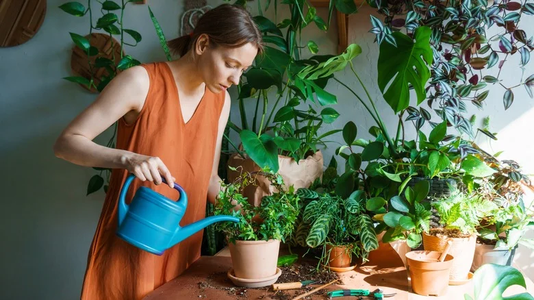 Indoor Plant Lovers Are Rushing To IKEA For This Game-Changing Product