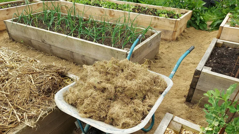Insulate Spring Garden Beds And Deter Weeds With A Pet Store Staple
