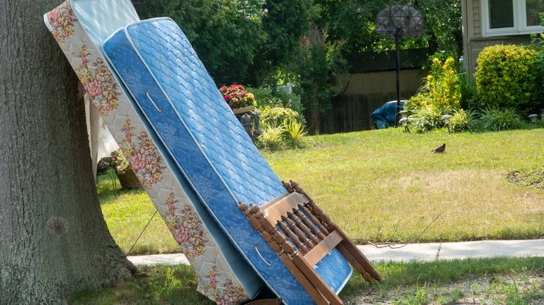 Inventive Ways To Repurpose An Old Box Spring Frame In Your Home And Garden