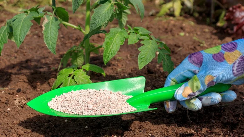 Is It Okay To Use Lawn Fertilizer In Your Garden? Here’s What We Know