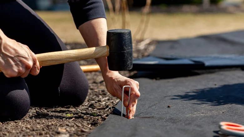 Is Landscaping Fabric Really Safe To Use In Your Vegetable Garden?