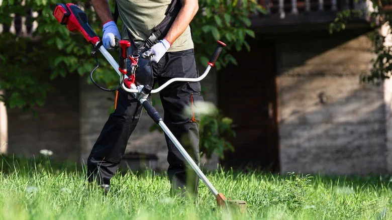Is Soaking Weed Eater String A Handy Lawn Hack Or Bad Idea?