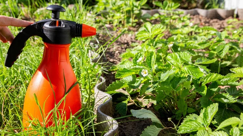 Is This Popular Chemical Really Safe To Use In DIY Garden Fertilizers?