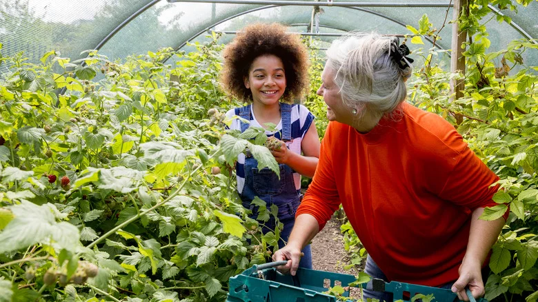 Joint-Friendly Tools That Can Help You Garden If You Suffer From Arthritis