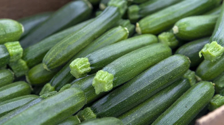 Keep Aphids From Ruining Your Zucchini By Growing It Near This Gorgeous Flower
