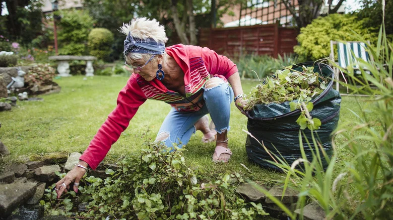 Keep Gardens & Flower Beds Weed-Free Without The Use Of Harmful Chemicals