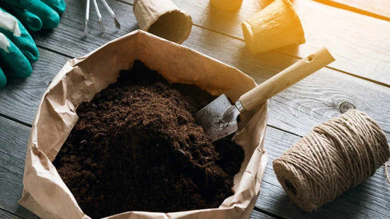 Keep Potting Soil Fresh With An Unexpected Item From The Pet Aisle