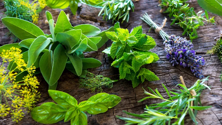 Keep Your Harvested Garden Herbs Fresh For Weeks With An Easy Jar Hack