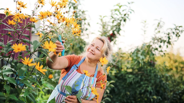 Keep Your Perennials Blooming Longer With These Must-Know Tips And Tricks