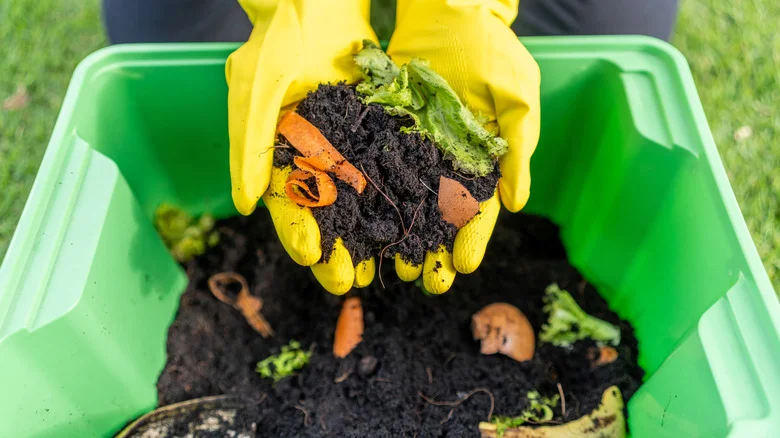 Kitchen Scraps You Can Reuse In The Garden As A Natural Fertilizer