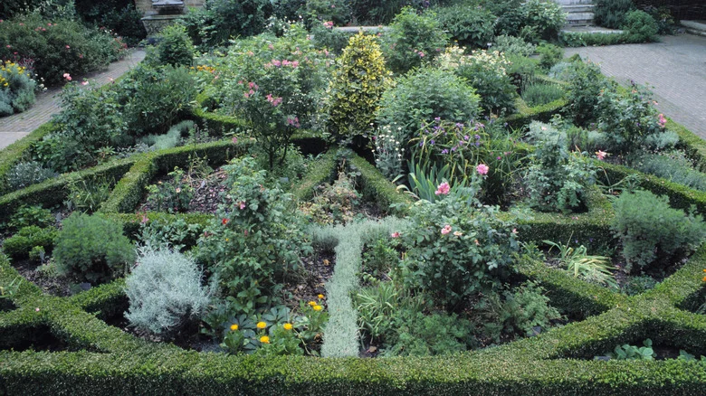 Knot Gardens Are Trendy Right Now And You Can Get The Look