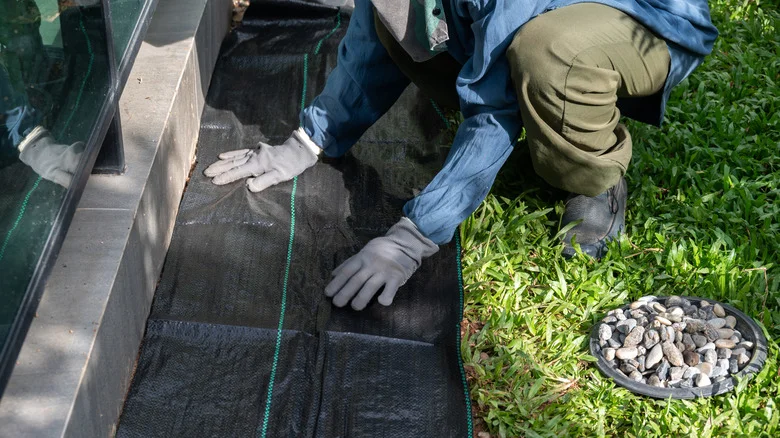 Landscape Fabric Vs Plastic Sheeting: Which One Works Better?