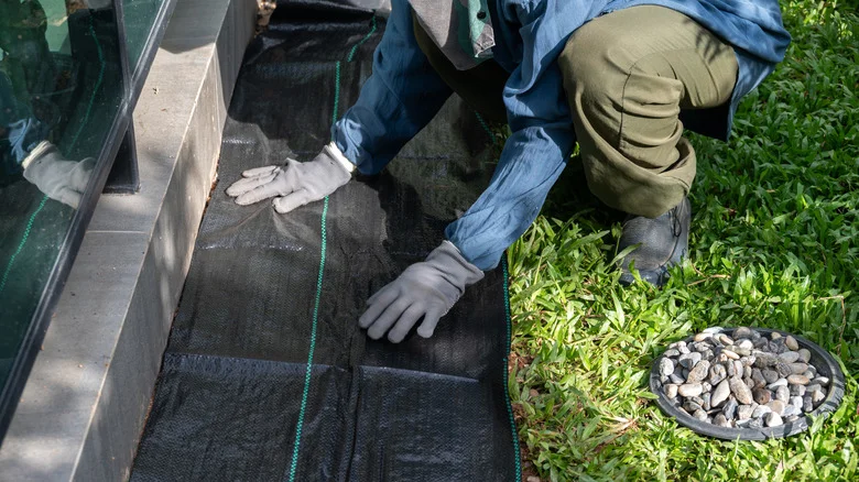Landscape Fabric Vs Weed Barrier: What’s The Difference?