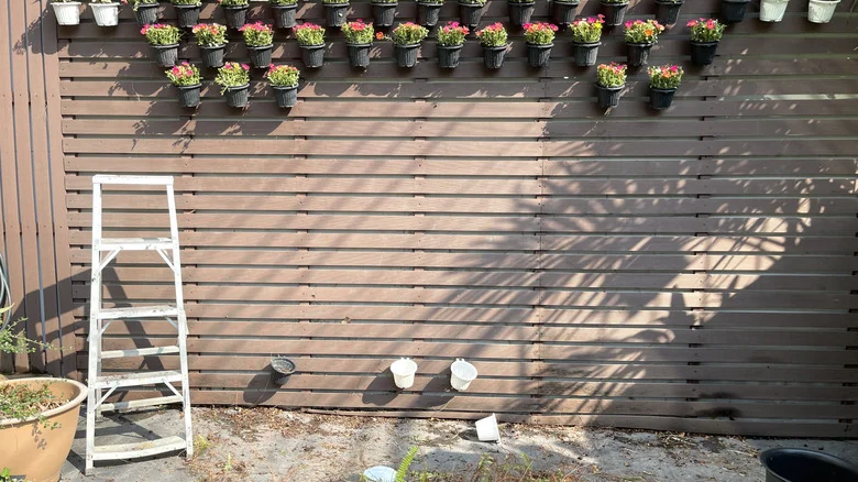 Limited Outdoor Space? These 20 Vertical Garden Ideas Are The Perfect Solution
