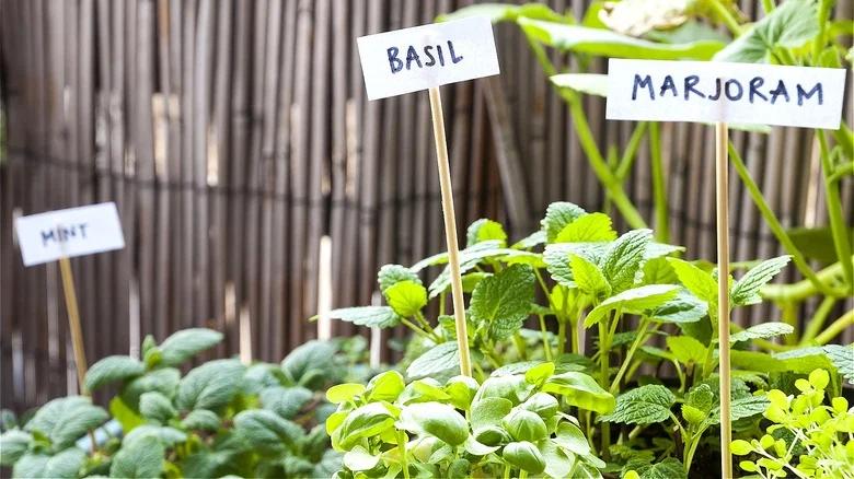 Make A Cute Herb Garden With This IKEA Hack