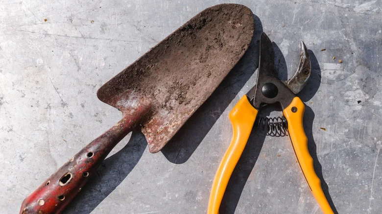 Make All Your Garden Tools Sparkle Using An Affordable Kitchen Essential