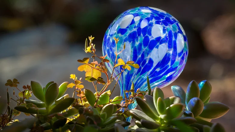 Make Watering Your Moss Pole A Breeze By Using Glass Plant Watering Globes