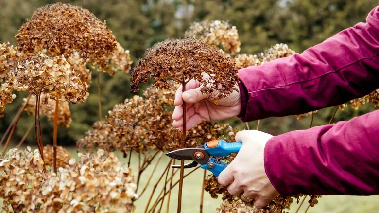 Make Your Garden’s Summer Color Last Well Into Fall With These Tips